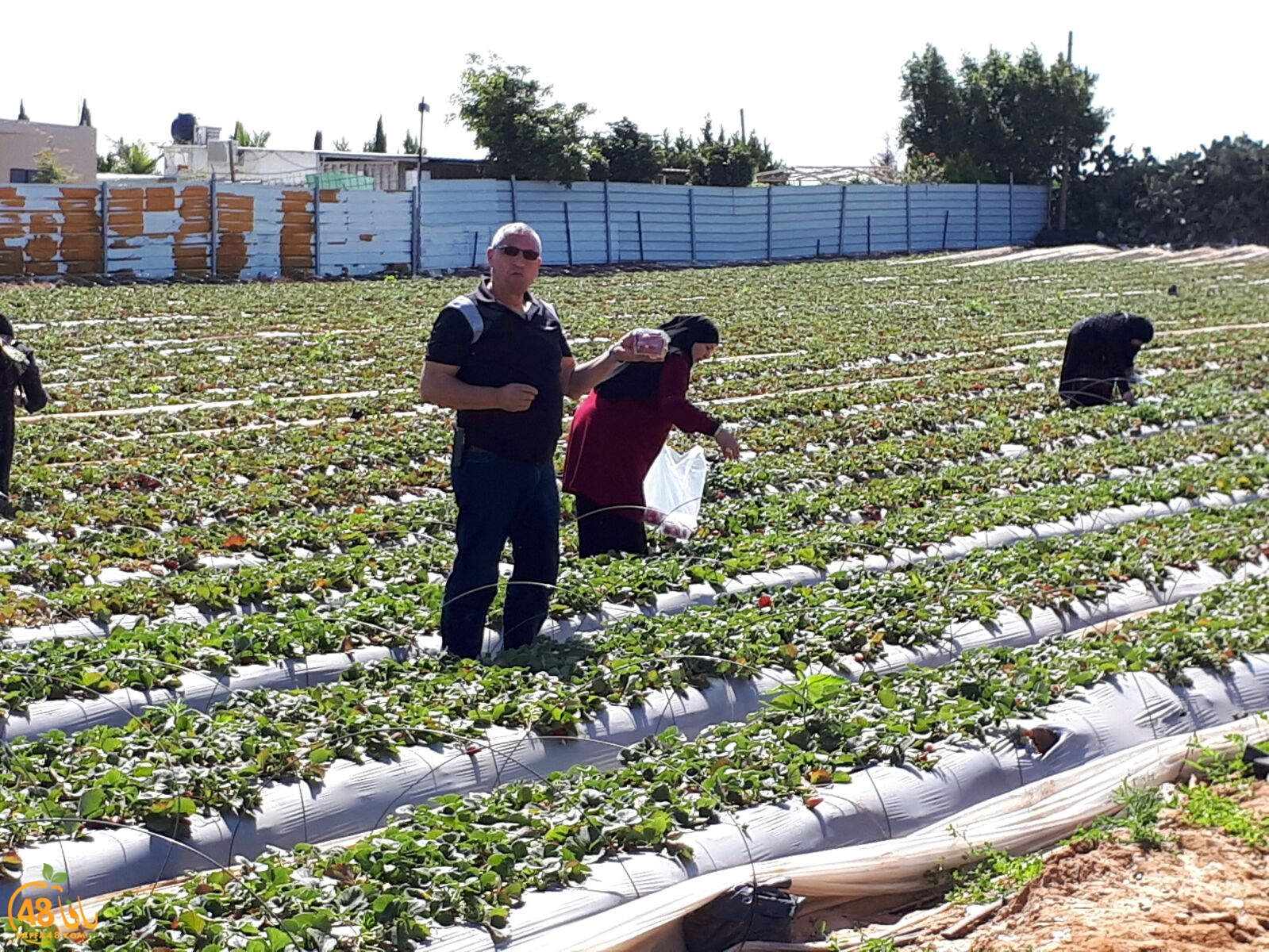 ab7bableaqsaa3 (12).jpg